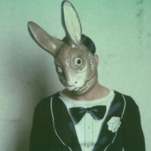 rabbit_boy
