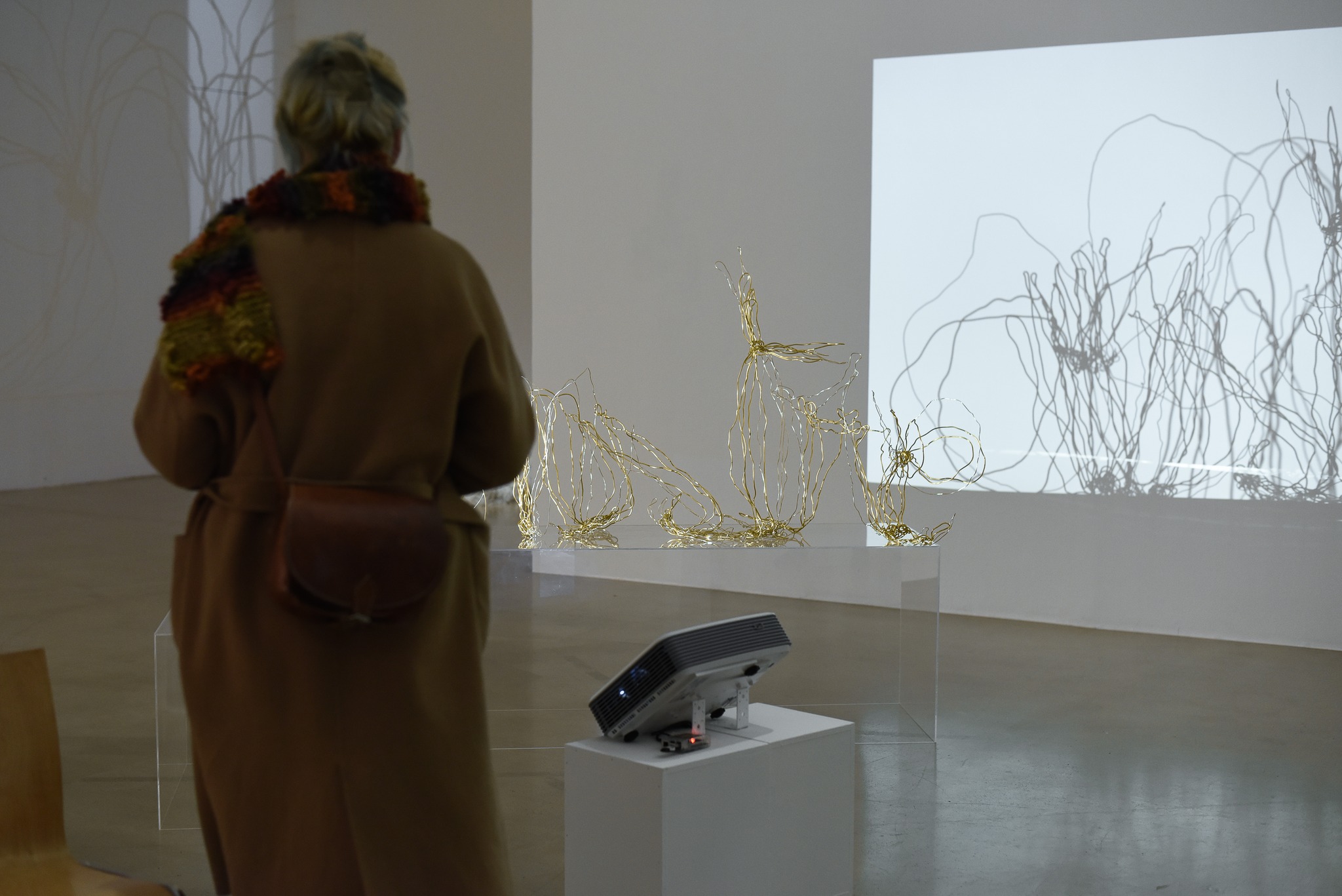 276010818_10158329053380894_7422491601054404115_n