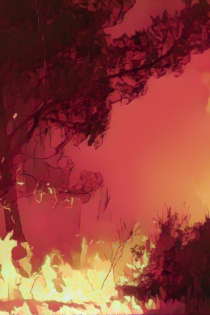 Jeanne-dark-fire