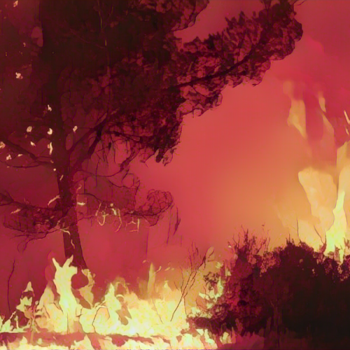 Jeanne-dark-fire