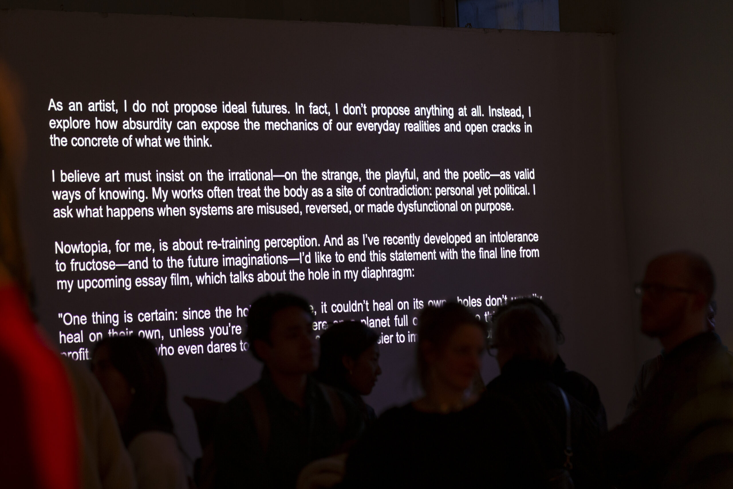 Salon Souterrain 2025 © Susanne Senekowitsch_5974_print
