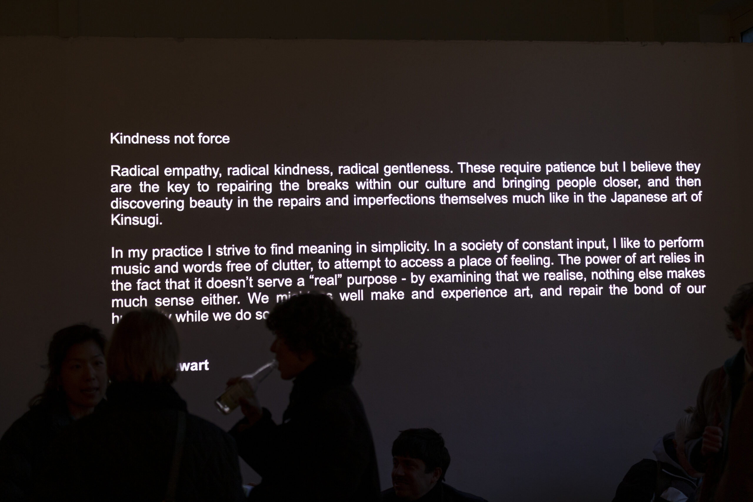 Salon Souterrain 2025 © Susanne Senekowitsch_print(1)